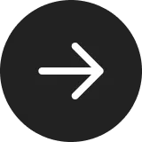 Left Arrow Icon